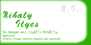mihaly ilyes business card